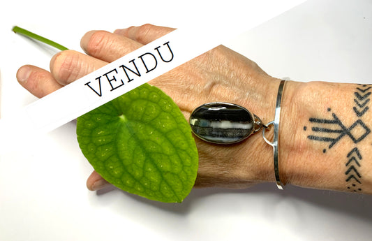 The owyhee olive tree